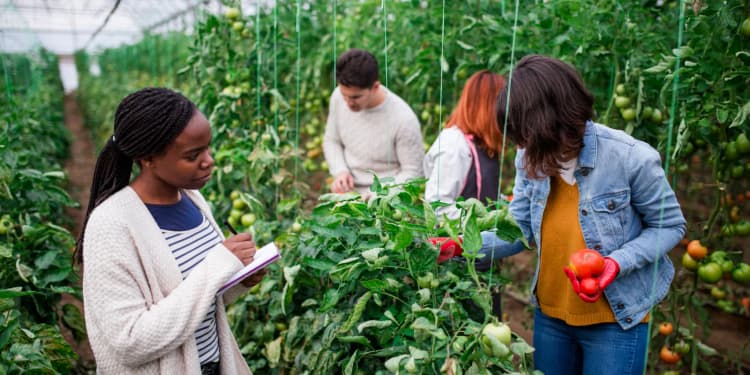 Think Regeneration is a national 501(c)(3) nonprofit dedicated to accelerating change in food and agriculture by supporting farmers in developing circular local economies, sharing peer-to-peer education, improving health outcomes through food, and creating entrepreneurial opportunities.